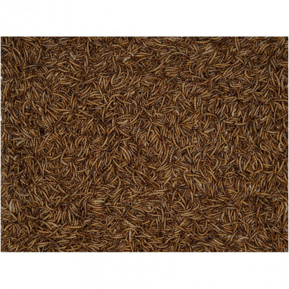 Vers De Farine 1 Kg, Emma's Garden, Pour Oiseaux. - Vadigran - Va-423050