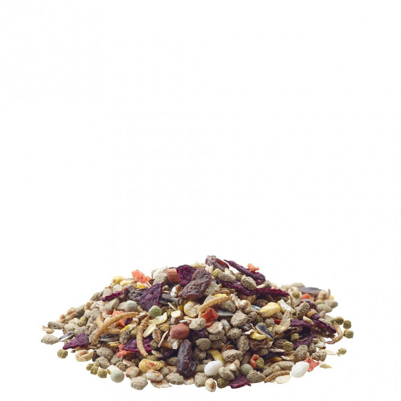 Alimentation Mélange Varié Et Riche En Céréales 400g Pour Souris - Versele-laga - Vs-461421