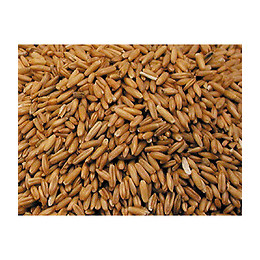 Avoine Pelée  4kg - Graines  Pour Oiseaux. - Vadigran - Va-209050