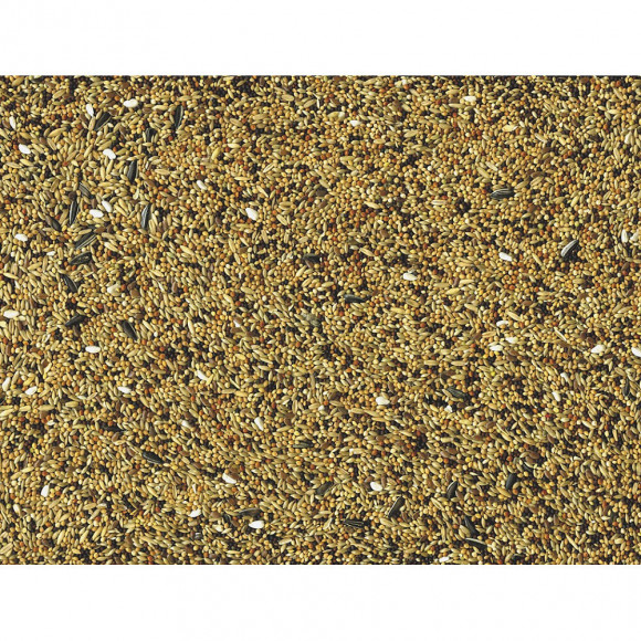 Graines Pour Oiseaux Volière 4kg - Vadigran - Va-352-x01