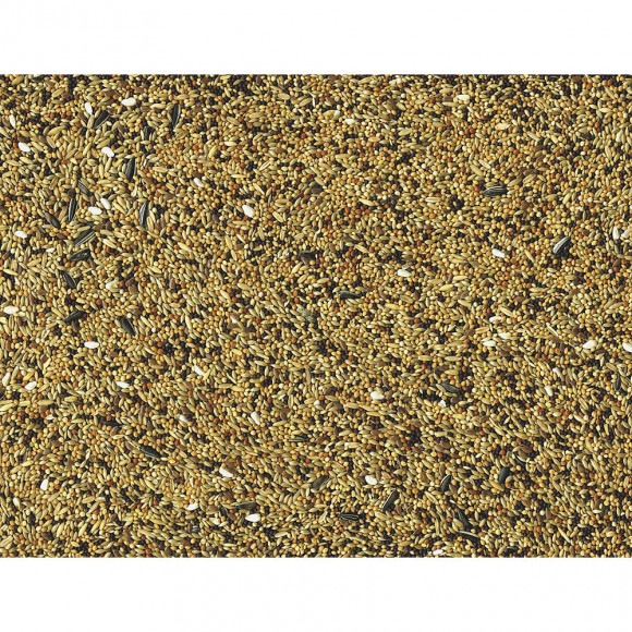 Graines Original Pour Oiseaux Pinsons Concours   1kg - Vadigran - Va-311-x01
