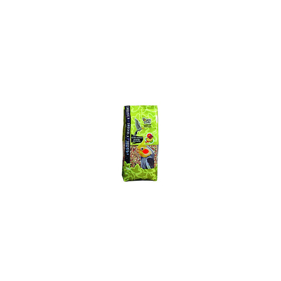 Graines  Pour Oiseaux Prenium Vita Grande Perruche 1kg - Vadigran - Va-454010