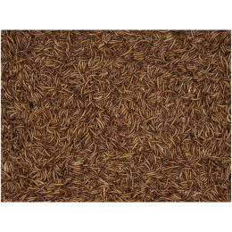 Vers De Farine 4.5 Kg. Pour Oiseaux. - Vadigran - Va-423200