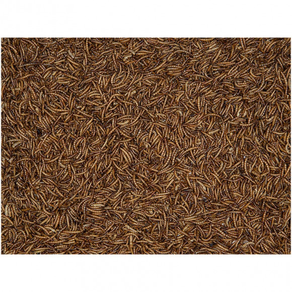 Vers De Farine 4.5 Kg. Pour Oiseaux. - Vadigran - Va-423200