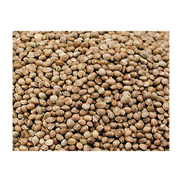 Chanvre, Graines  Pour Oiseaux  3.5 Kg - Vadigran - Va-210050