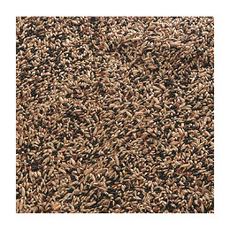 Mélange De Graines Pour Canari Extra. Sac De 1 Kg - Oiseaux - Flamingo Pet Products - Fl-101660