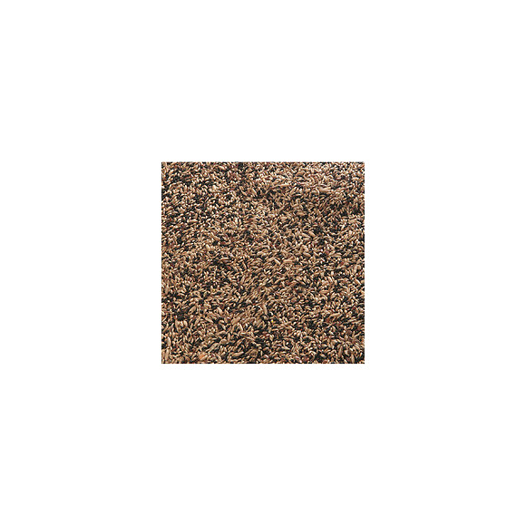 Mélange De Graines Pour Canari Extra. Sac De 1 Kg - Oiseaux - Flamingo Pet Products - Fl-101660