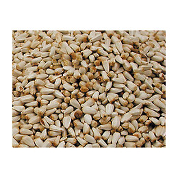 Graines  Pour Oiseaux Graine Cardy  0.8kg - Vadigran - Va-260010