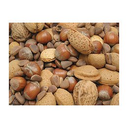 Graines  Pour Oiseaux Melange De Noix  0.6kg - Vadigran - Va-129010