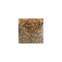 Vers De Farine Séchés Picknick . Sachet De 100 Gr. Pour Oiseaux. - Flamingo Pet Products - Fl-2010012