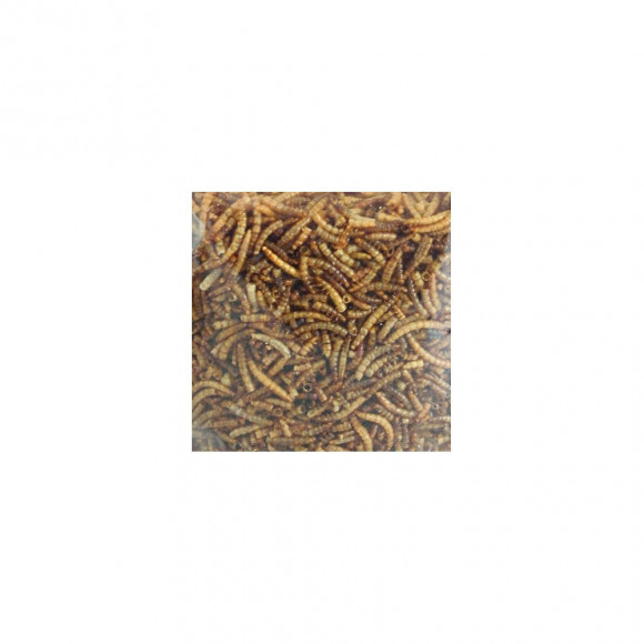 Vers De Farine Séchés Picknick . Sachet De 100 Gr. Pour Oiseaux. - Flamingo Pet Products - Fl-2010012