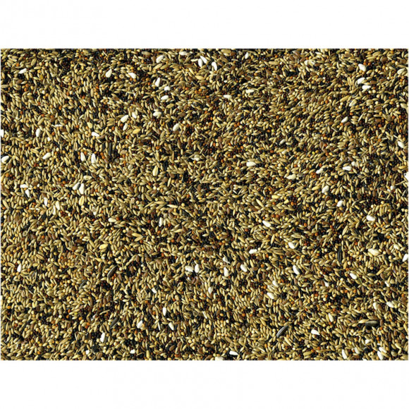 Indigenes - Graines Original Pour Oiseaux  4kg - Vadigran - Va-302