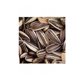 Mangeoire Silo Rempli De Graines De Tournesol. Pour Oiseaux. 200 Gr. - Flamingo Pet Products - Fl-110385