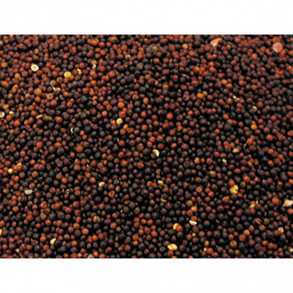 Graines  Pour Oiseaux Navette 1kg - Vadigran - Va-207010