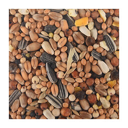 Mélange Graine Pour Oiseaux. Sac De 1 Kg. - Flamingo Pet Products - Fl-101666