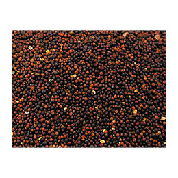 Graines  Pour Oiseaux Navette 1kg - Vadigran - Va-207010