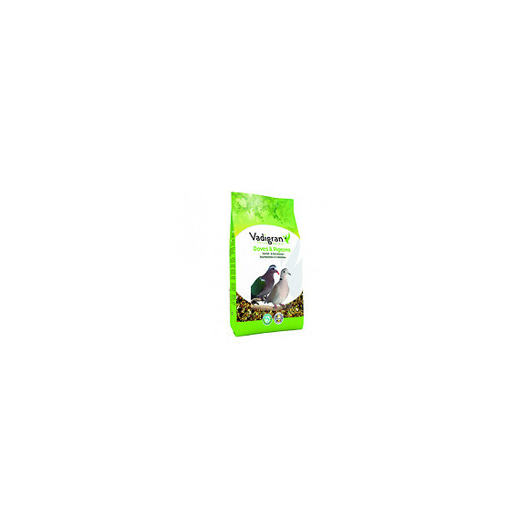 Graines  Pour Oiseaux Tourterelles Et Colombes 1kg - Vadigran - Va-471