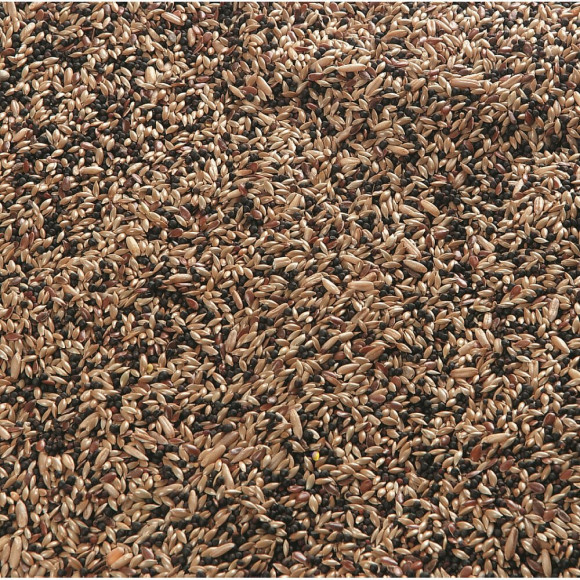 Mélange De Graines Pour Canari Extra. Sac De 1 Kg - Oiseaux - Flamingo Pet Products - Fl-101660