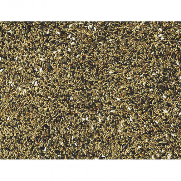 Graines Original Pour Oiseaux Indigenes 1kg - Vadigran - Va-301-x01