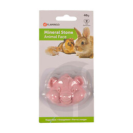 Pierre Ronger Forme Hamster 80 G. Pour Rongeurs - Flamingo Pet Products - Fl-210077