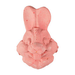Pierre Ronger Forme Lapin 80 G. Pour Rongeurs - Flamingo Pet Products - Fl-210076
