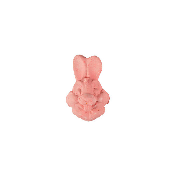 Pierre Ronger Forme Lapin 80 G. Pour Rongeurs - Flamingo Pet Products - Fl-210076