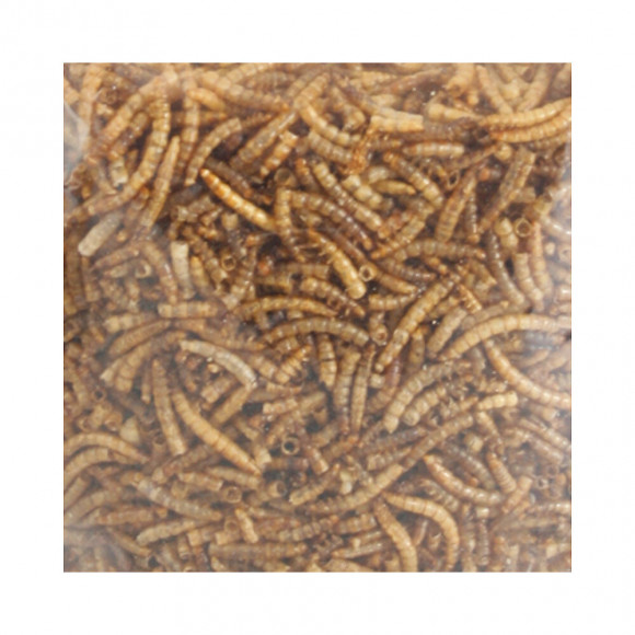 Vers De Farine Séchés Picknick. Seau De 540 Gr. Pour Oiseaux. - Flamingo Pet Products - Fl-2010013