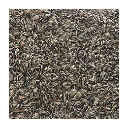 Graine De Tournesol 700 Gr -oiseaux - Flamingo Pet Products - Fl-101667