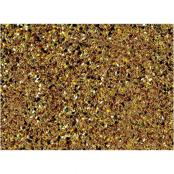 Pour Oiseaux Tourterelles Et Colombes 4kg - Vadigran - Va-472