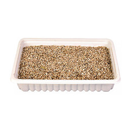 Herbe À Chat, Barquette De 100g. - Trixie - Tr-4235