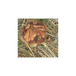 Foin De Montagne Aux Pommes. 500 Gr. Pour Rongeurs. - Flamingo Pet Products - Fl-201618