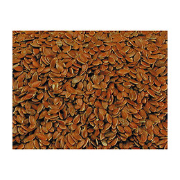 Graines  De Lin.  1kg.  Pour Oiseaux. - Vadigran - Va-214010