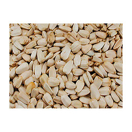 Grandes Graines De Tournesol Blanche , 500 G. - Vadigran - Va-215010