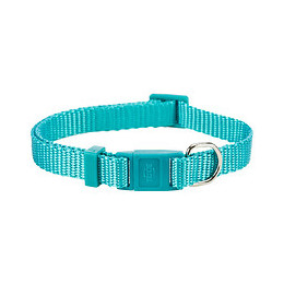 Collier Premium Pour Chat. Couleur Turquoise. - Trixie - Tr-41743