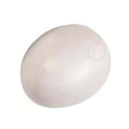 Un Faux Œuf De Poule En Plastique. Pour Volaille. - Flamingo Pet Products - Fl-100951