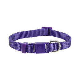 Collier Premium Pour Chat. Couleur Violet. - Trixie - Tr-41744