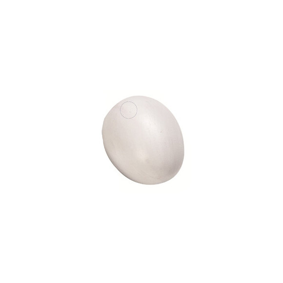 Un Faux Œuf De Poule En Plastique. Pour Volaille. - Flamingo Pet Products - Fl-100951