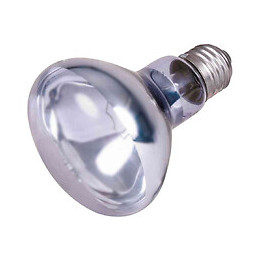 Lampe Spot Neodymium À Chaleur 100 W Pour Reptile. - Trixie - Tr-76008