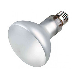 Lampe Uv-b À Vapeur De Mercure 100 W Prosun Mixed D3 Pour Reptile - Trixie - Tr-76025