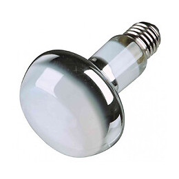 Lampe Spot À Chaleur 100 W Pour Reptile - Trixie - Tr-76003
