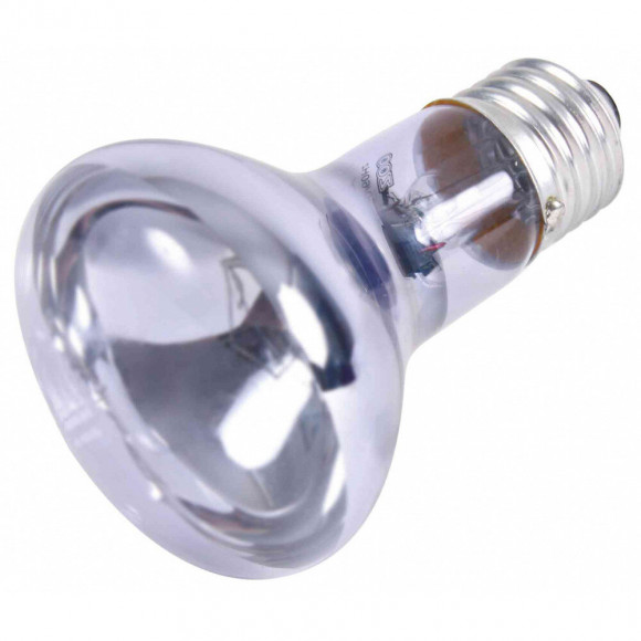 Lampe Spot Neodymium À Chaleur 35 W Pour Reptile - Trixie - Tr-76005