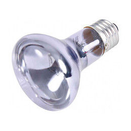 Lampe Spot Neodymium À Chaleur 35 W Pour Reptile - Trixie - Tr-76005