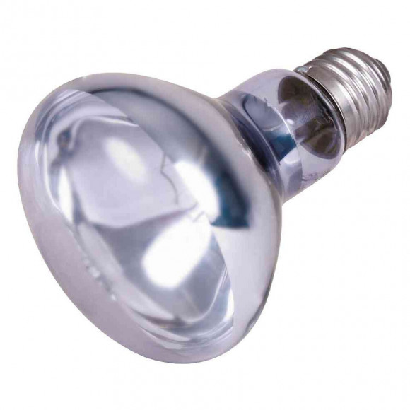 Lampe Spot Neodymium À Chaleur 100 W Pour Reptile. - Trixie - Tr-76008