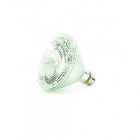 Lampe Heatspot Pro 75 W Pour Reptile. - Trixie - Tr-76014