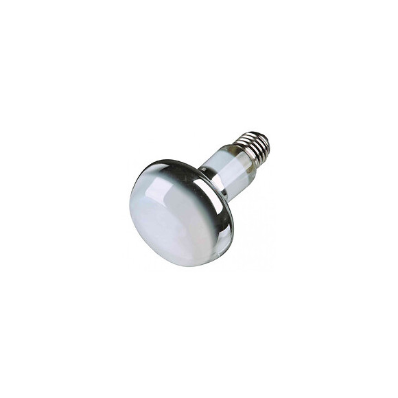 Lampe Spot À Chaleur 50 W Pour Reptile - Trixie - Tr-76001
