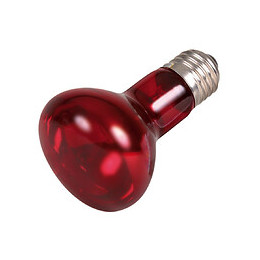 75 W Lampe Infrarouge À Chaleur R63 - Trixie - Tr-76096