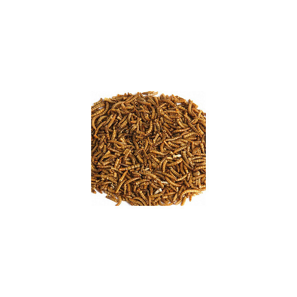 Larves De Vers De Farine Séchées 70 Gr - Trixie - Tr-76391