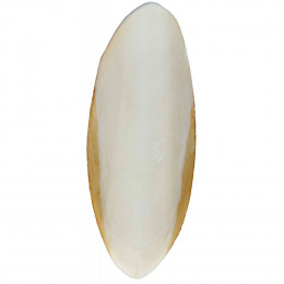 2 Os De Sèche Pour Reptiles. - Trixie - Tr-76385