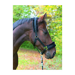 Licol Avec Fourrure Amovible Noir .pour Chevaux. Taille Pony. - Kerbl - Ke-328261