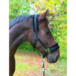 Licol Avec Fourrure Amovible Noir .pour Chevaux. Taille Cob. - Kerbl - Ke-328237